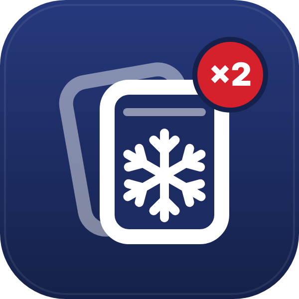 Ice Brick 2-Pack